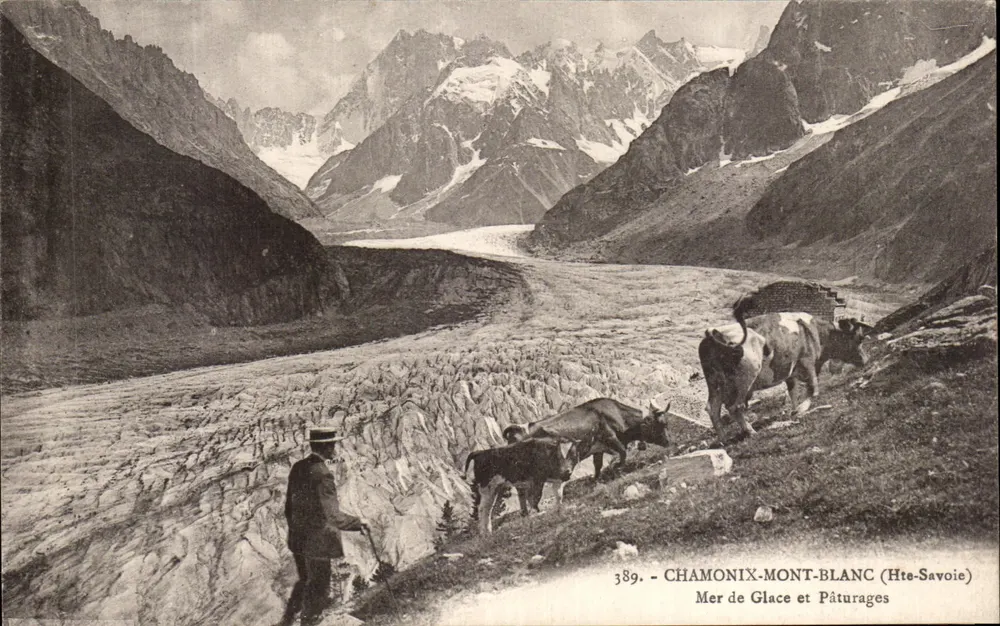 Chamonix-Mont-Blanc — Ansicht des Gletschers Mer de Glace und der Weiden — anonymer Verleger, Nr. 389 - Vorderseite