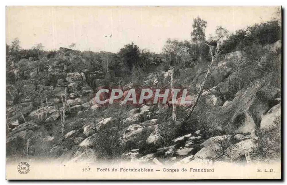 Floresta de Fontainebleau — Gorges de Franchard — E. L.D. - Frente