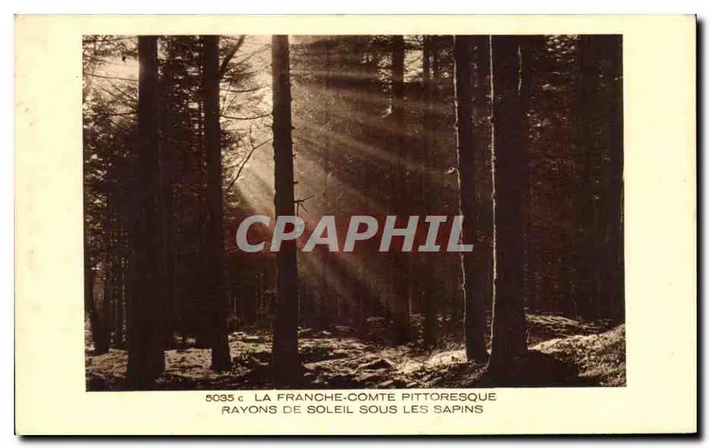 Pittoreske Franche-Comté — Sonnenstrahlen unter den Tannen — Sammlung La Franche-Comté, Braun & Cie, Mulhouse-Dornach - Vorderseite