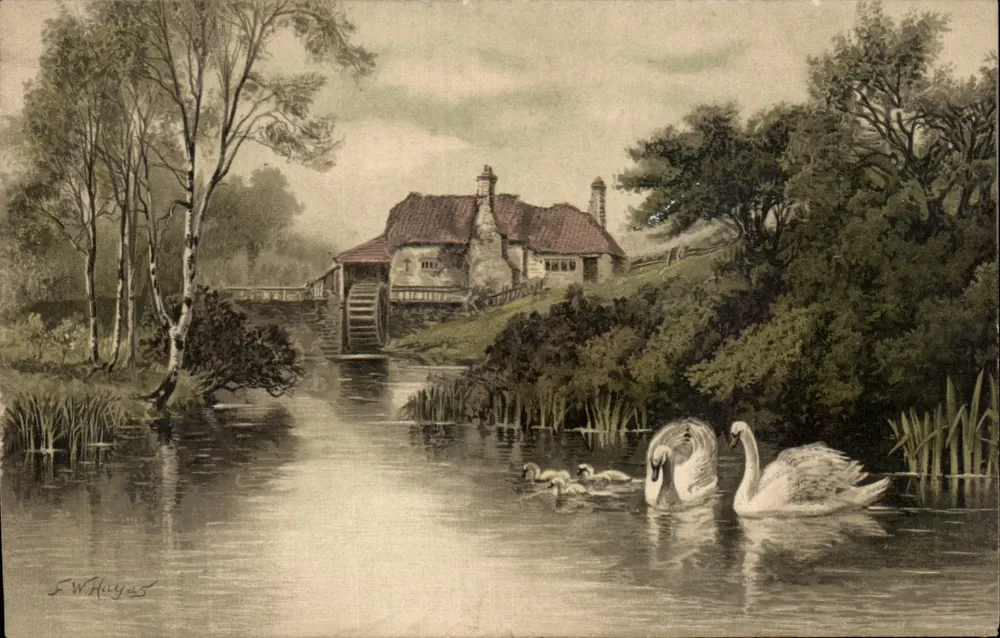 Moulin à eau avec cygnes — dessin de F. Whaley — éditeur non visible - Recto
