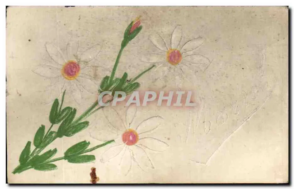 Flores de margaridas — desenho à mão — Carte postale française - Frente
