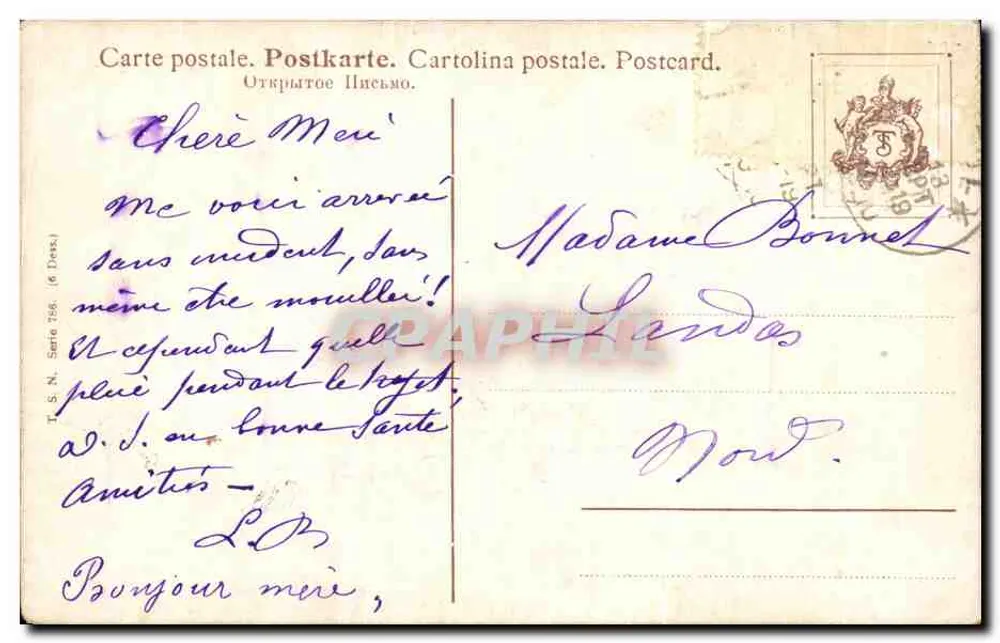 Galinhas e galinha em um paisagem invernal — editor T.S.N. Série 786 - Verso