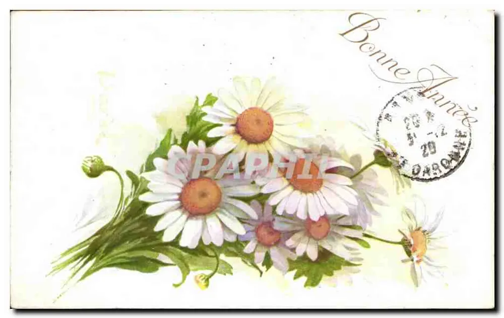 Arranjo de margaridas — Boa Ano — editor COLOR PARIS, n°552 - Frente