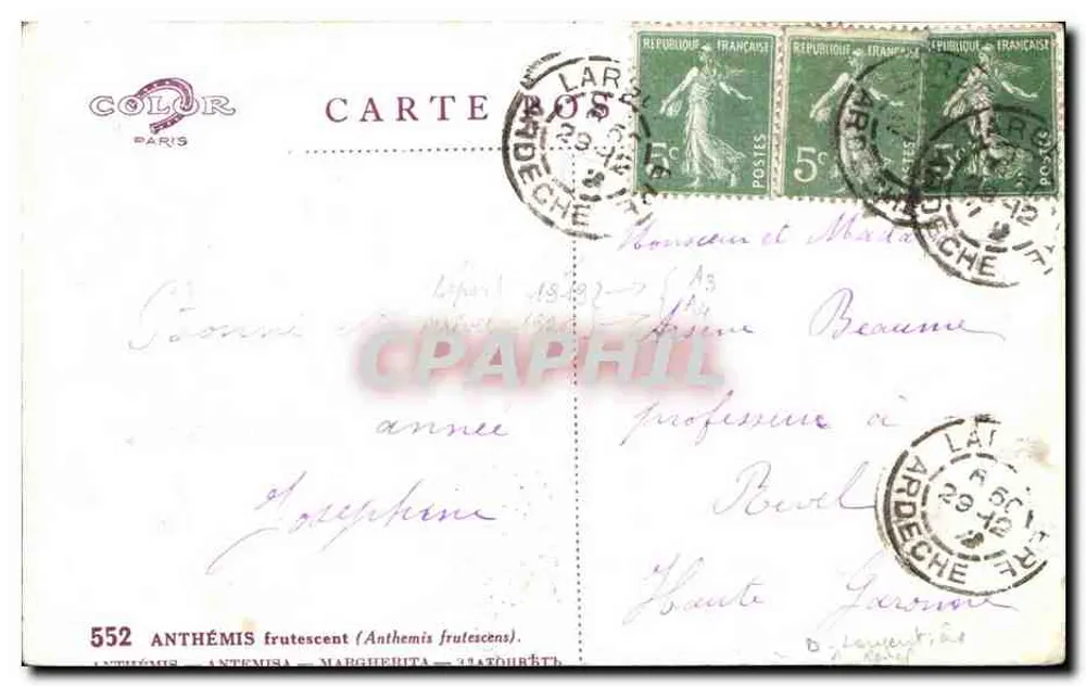 Arranjo de margaridas — Boa Ano — editor COLOR PARIS, n°552 - Verso