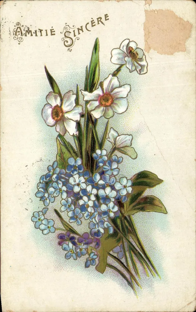 Bouquet de narcisses et d'ouï-dire — éditeur anonyme, sans numéro de série visible - Frente
