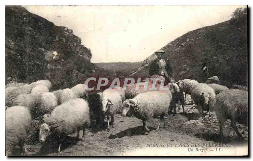 Um Pastor — LL. — SCÈNES ET TYPES DES PYRÉNÉES - Frente