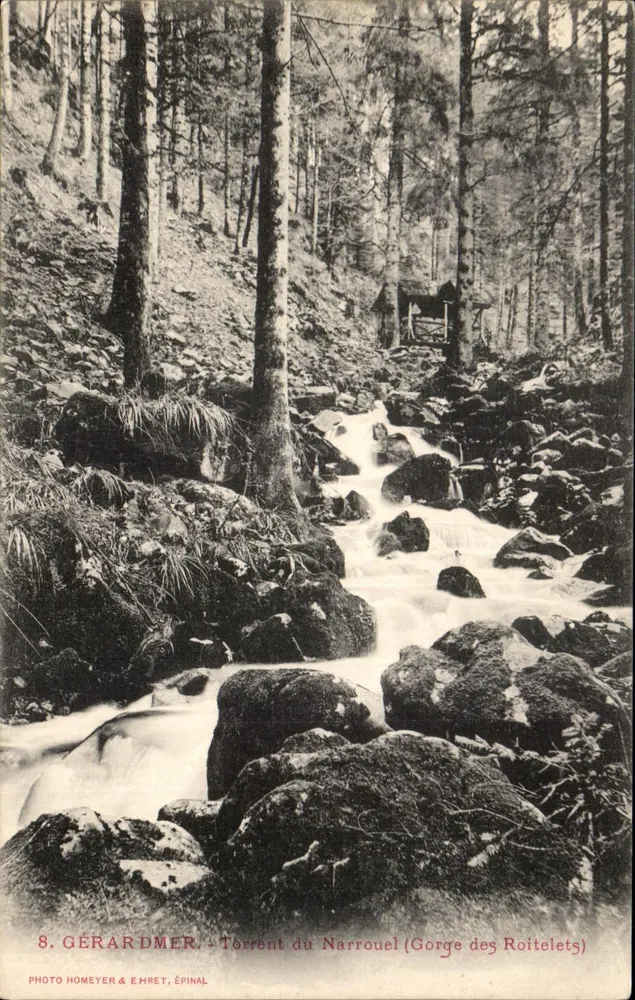 Gorge dos Roitelets — Torrente do Narrouel — Foto Homeyer & Ehret, Épinal, n°8 - Frente