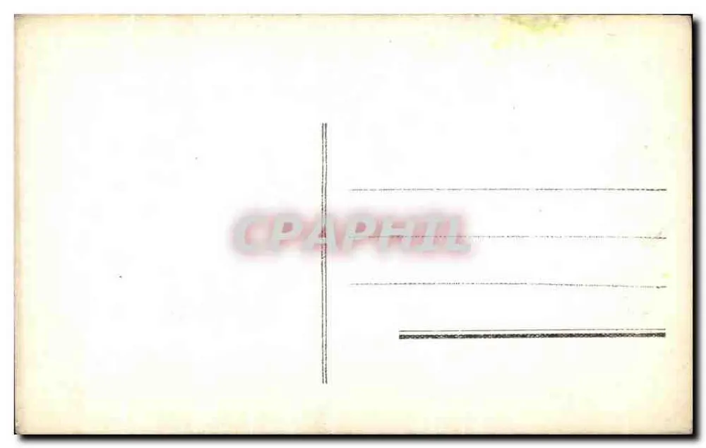 Junge Frau — Rosen — Frohe Geburtstagskarte — n° 2066 - Rückseite