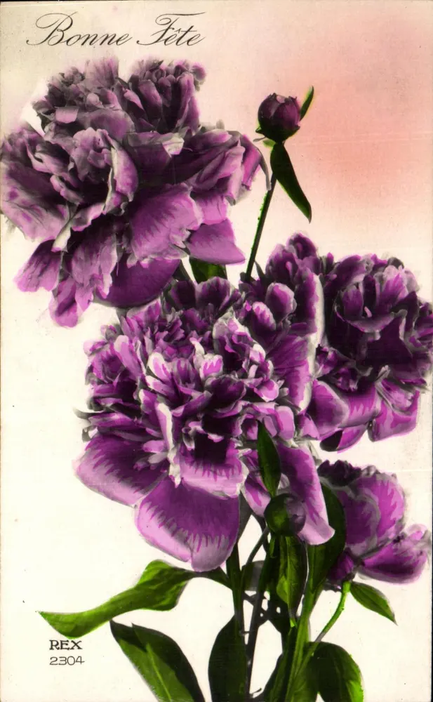 Flores de pêssegos violetas — Boa Festa — REX 2304 - Frente