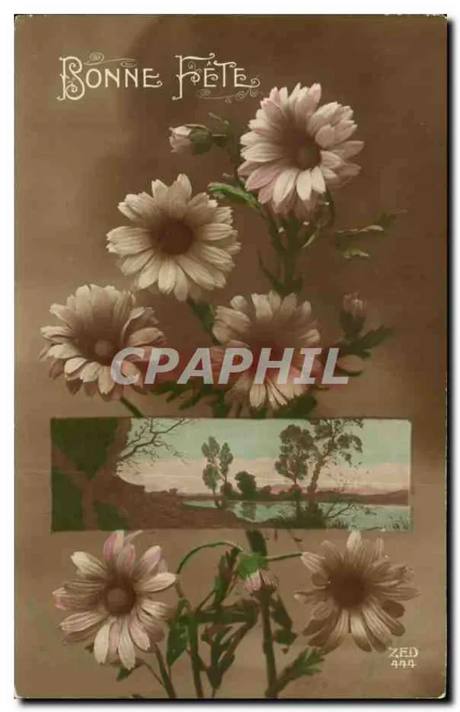Flores de margaridas — Boas Festas — ZED 444 - Frente