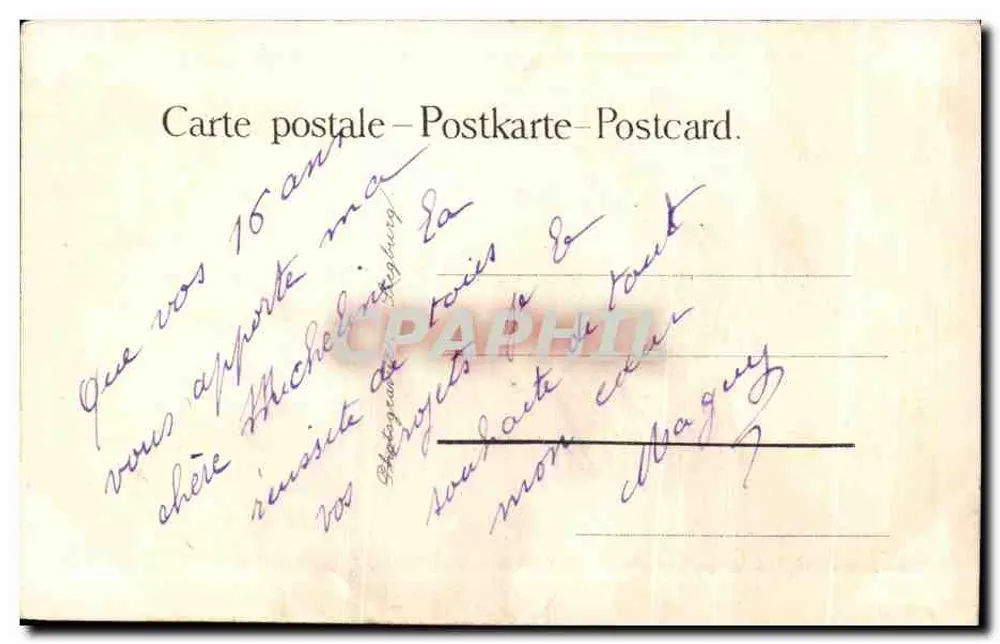 Kirschen — J. Alsina Pinx° — Serie 10, Nr. 605 - Rückseite