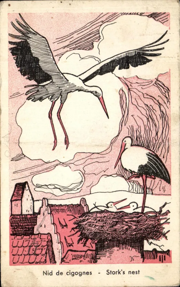 Nid de cigognes — Stork's nest — Édition JOSI N° 8 - Vorderseite