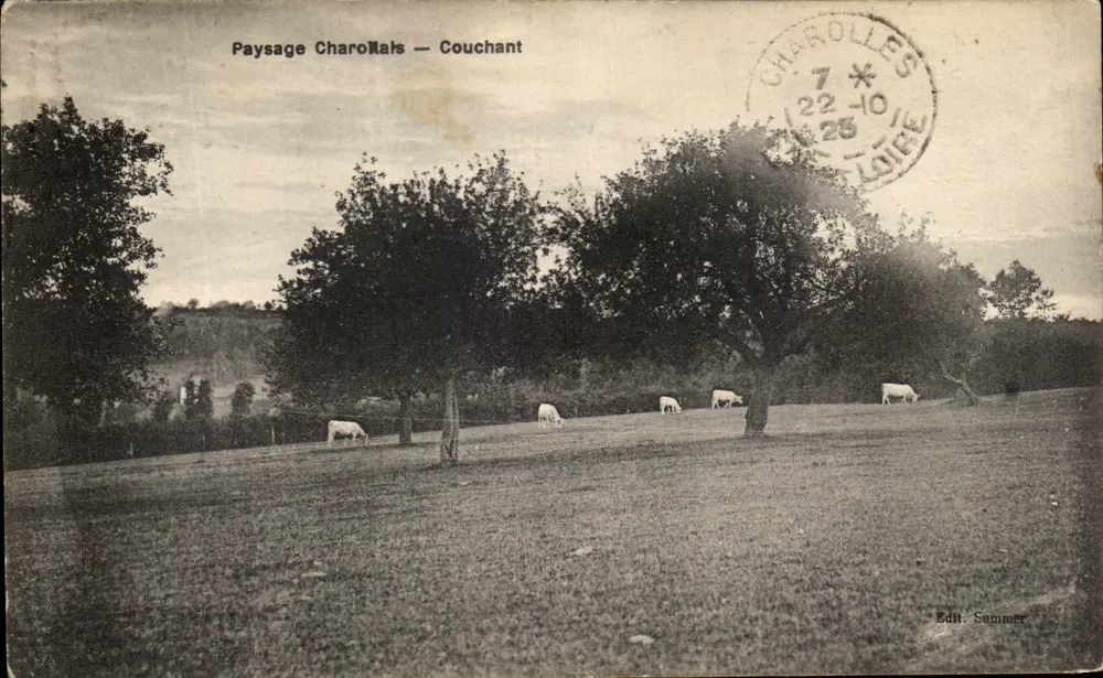 Paysage Charollais — Couchant — Edit. Summer - Frente
