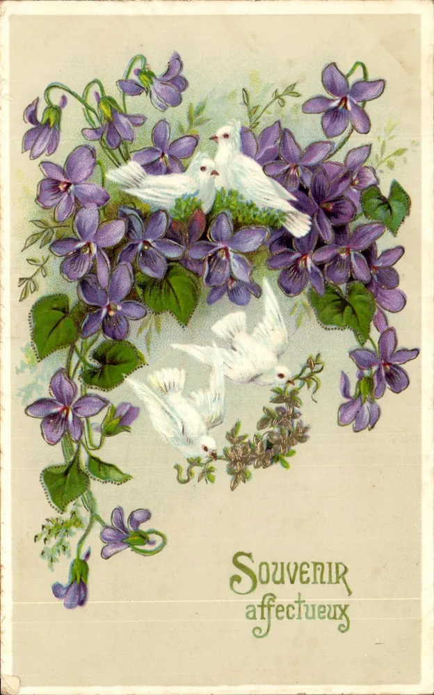 Violetas y palomas — Recuerdo afectuoso — H.W.B. SER 6789 - Anverso