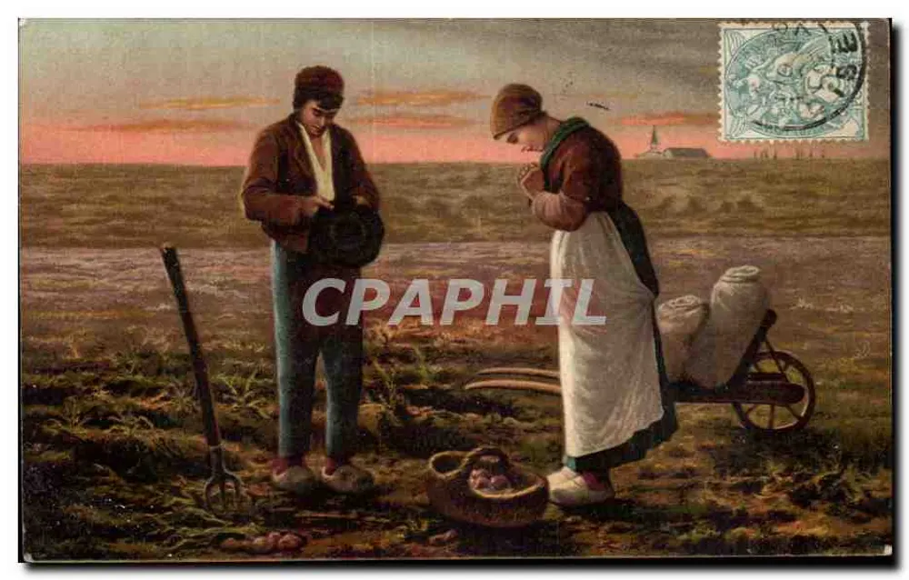 Cena de campo — paisagem rural ao entardecer — editor não visível - Frente