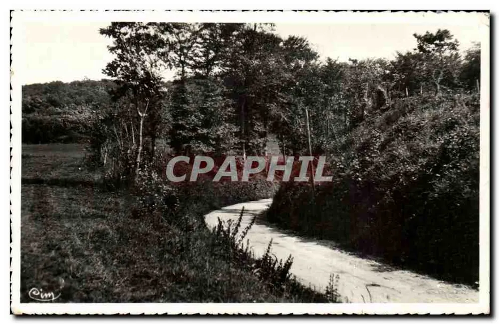Estrada sinuosa na floresta — vista de Bruineval-Plage — editor Cim - Frente