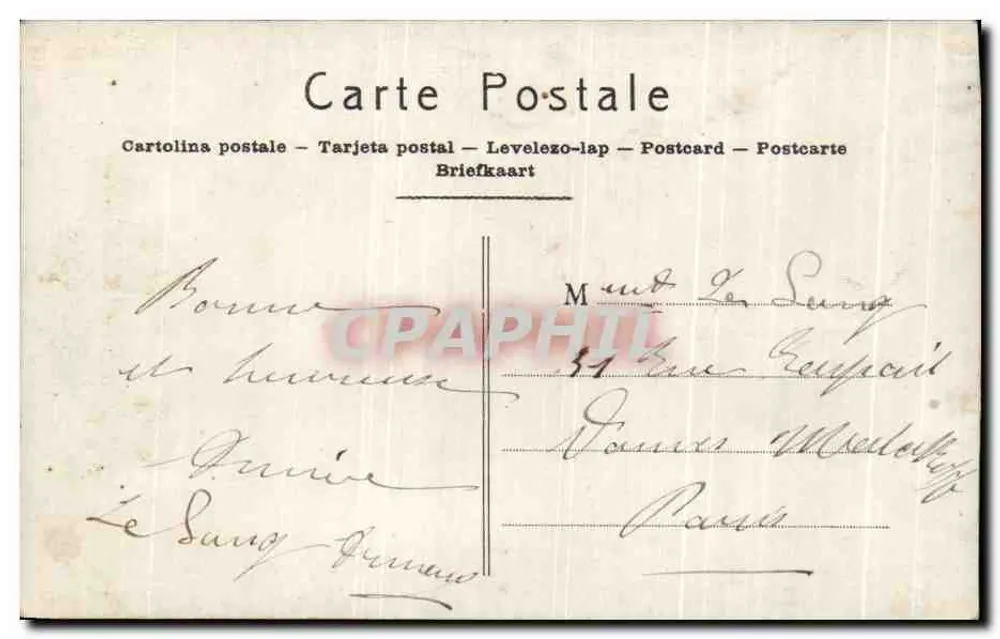 Rose violette — fleur détaillée avec feuilles — éditeur N° 61/N - Verso