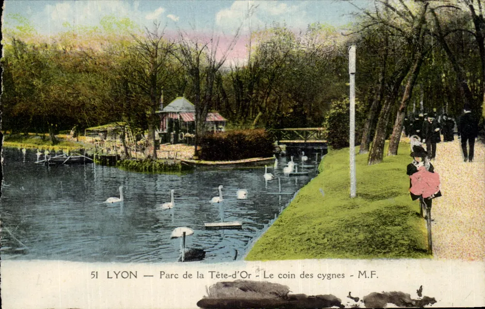 LYON — Parc de la Tête-d'Or — Der Schwanenwinkel — M.F. - Vorderseite