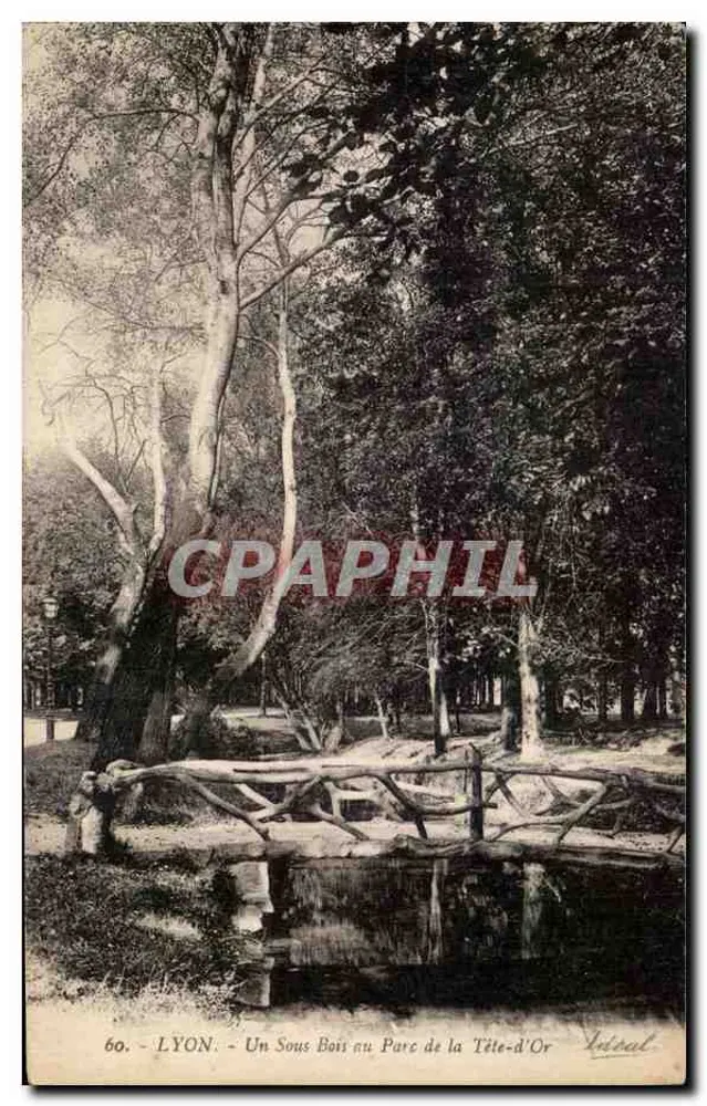 LYON - Ein Waldgebiet im Parc de la Tête-d'Or — Verleger Léidal, Nr. 60 - Vorderseite