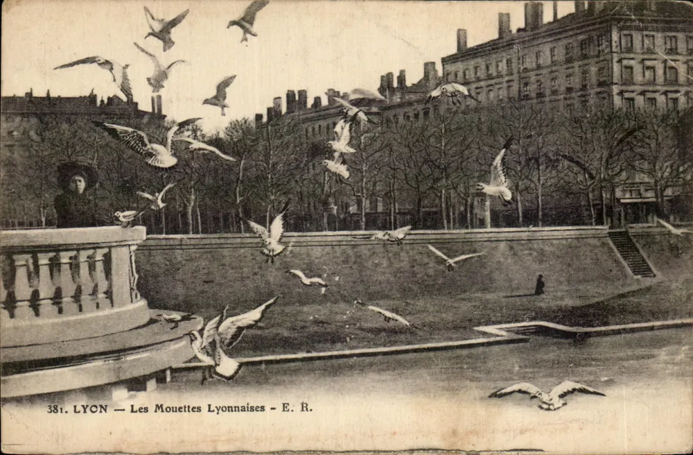 LYON — Les Mouettes Lyonnaises — E.R. n°381 - Frente