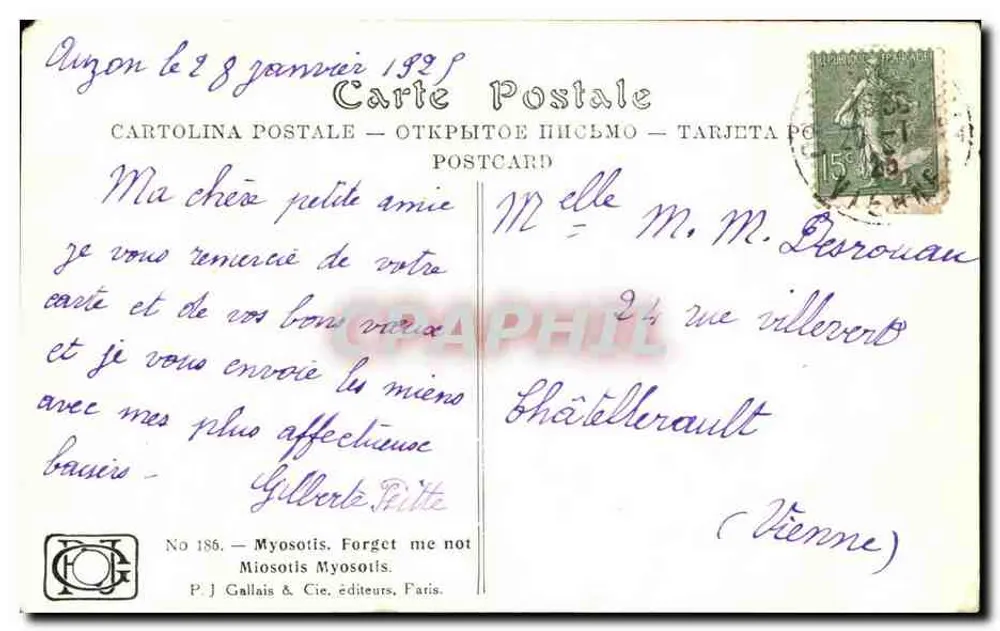 Myosotis — Não me esqueça — P.J. Gallais & Cie, Paris, n° 186 - Verso