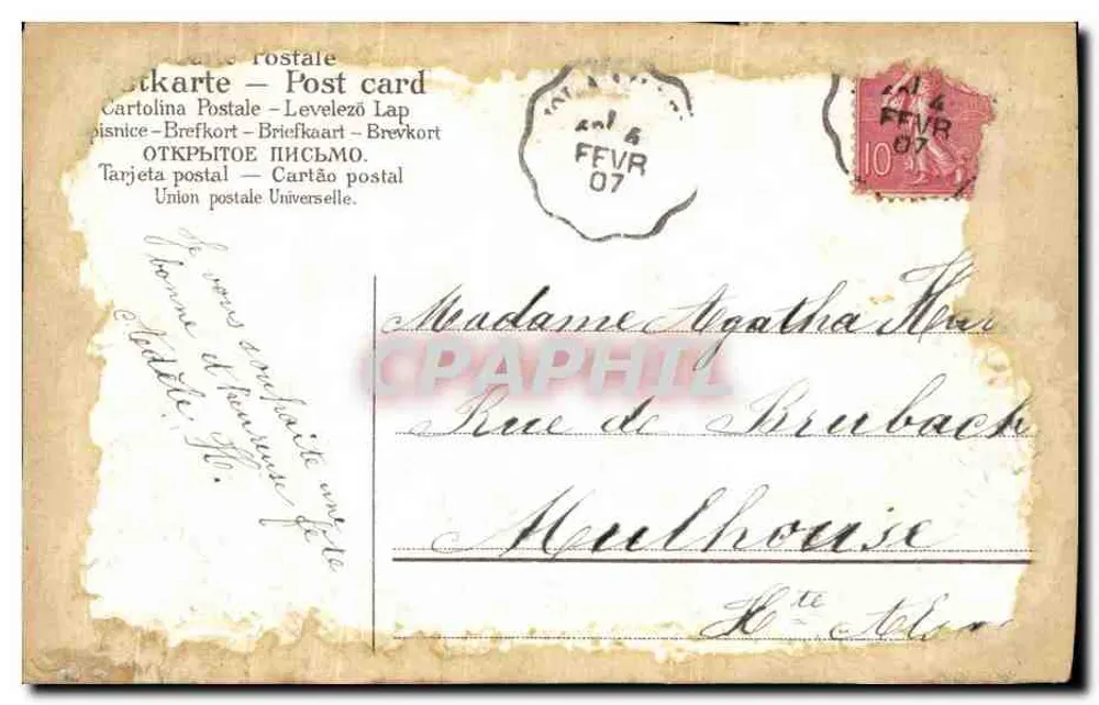 Lilás em flores — Boa Festa — Carta postal multilingue - Verso