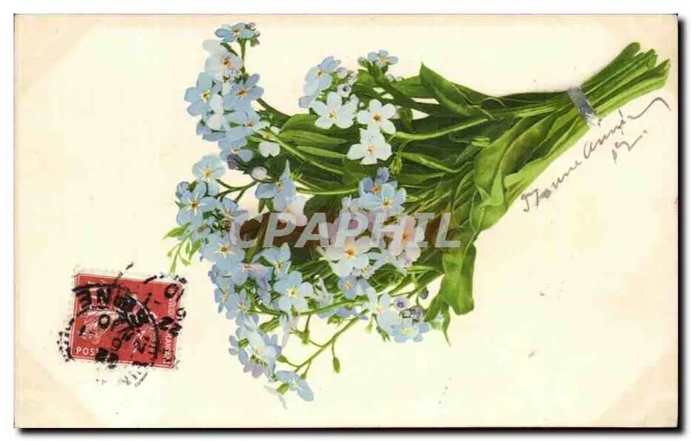 Bukiet myosotis — wydawca Martin Fornel & Cie, Stuttgart — n° 214 - Awers
