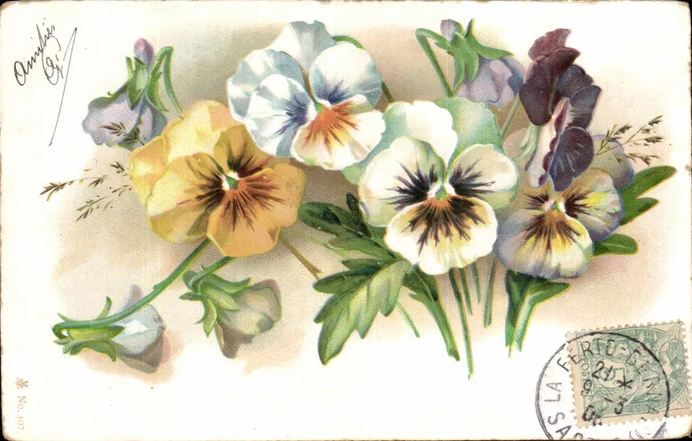 Florek myśliwca — kolorowa ilustracja — wydawca anonimowy, nr 307 - Awers