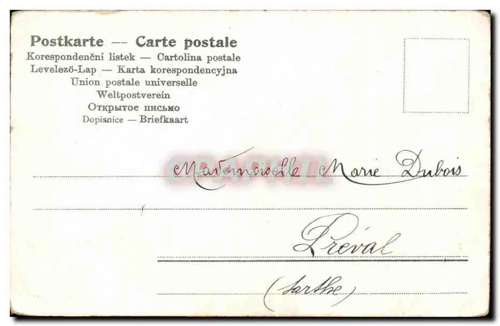 Florek myśliwca — kolorowa ilustracja — wydawca anonimowy, nr 307 - Rewers