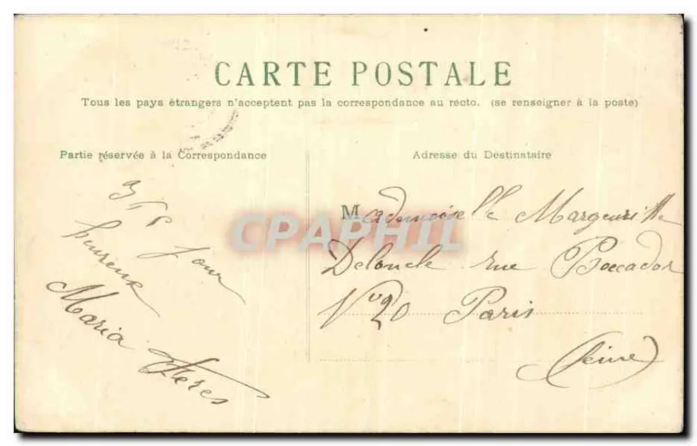Buquê de narcisos — editor não visível — datada por volta de 1920 - Verso