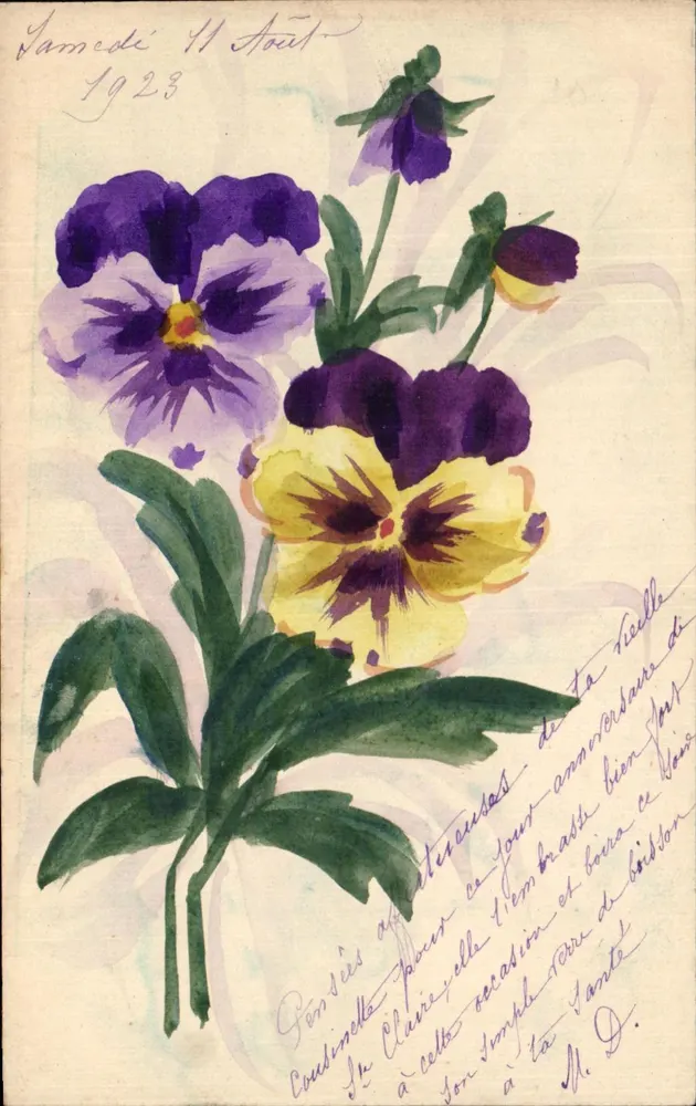 Pensées — desenho aquarelado — M. D. (editor não visível) - Frente