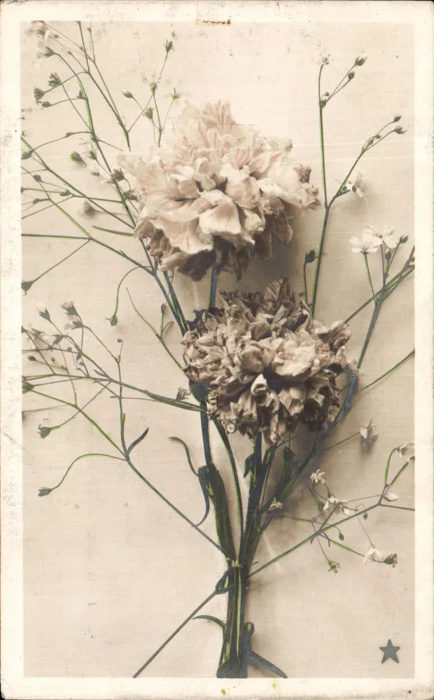 Bouquet van droge bloemen — klokjes en gypsophila — uitgever GILLET, serie N. 4149 - Voorkant