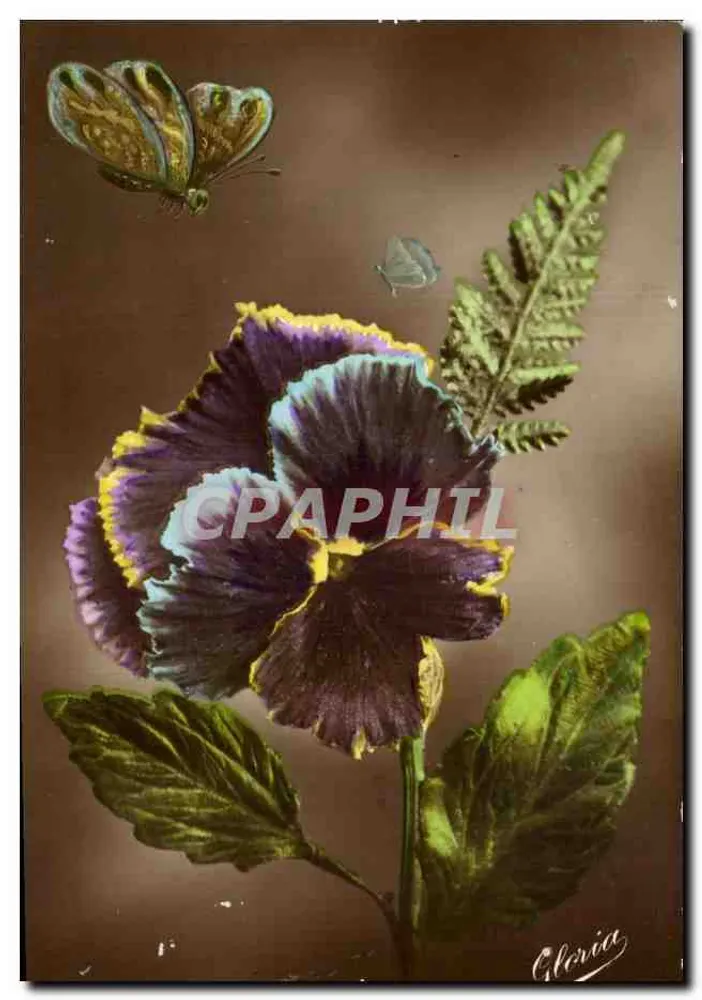 Peixe violeta e borboleta — Editora Gloria — Número de série não visível - Frente
