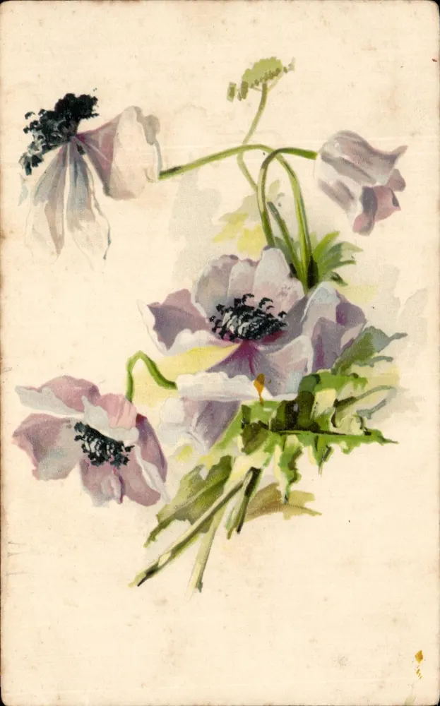 Anêmonas — desenho em aquarela — Carta postal - Frente