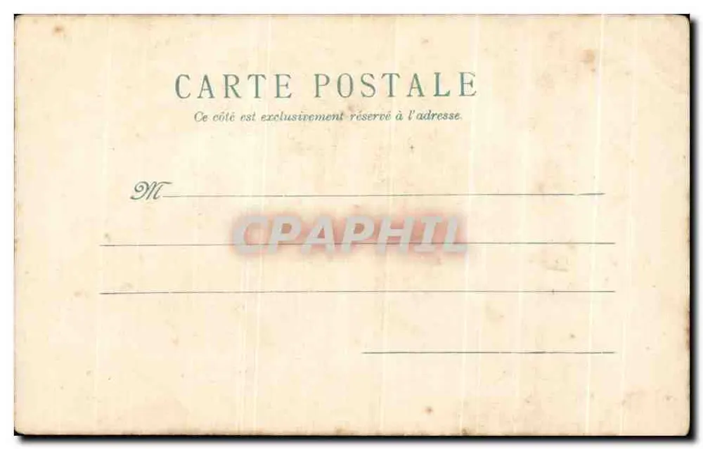 Anêmonas — desenho em aquarela — Carta postal - Verso