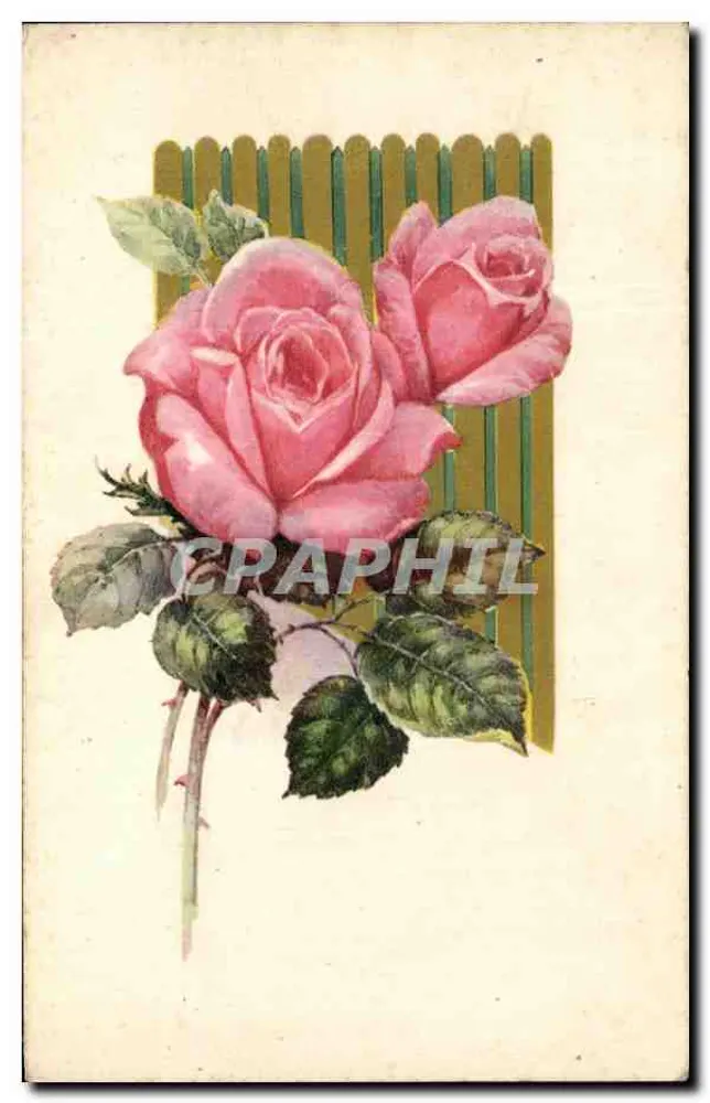 दो गुलाब — चित्र — अज्ञात प्रकाशक - आगे