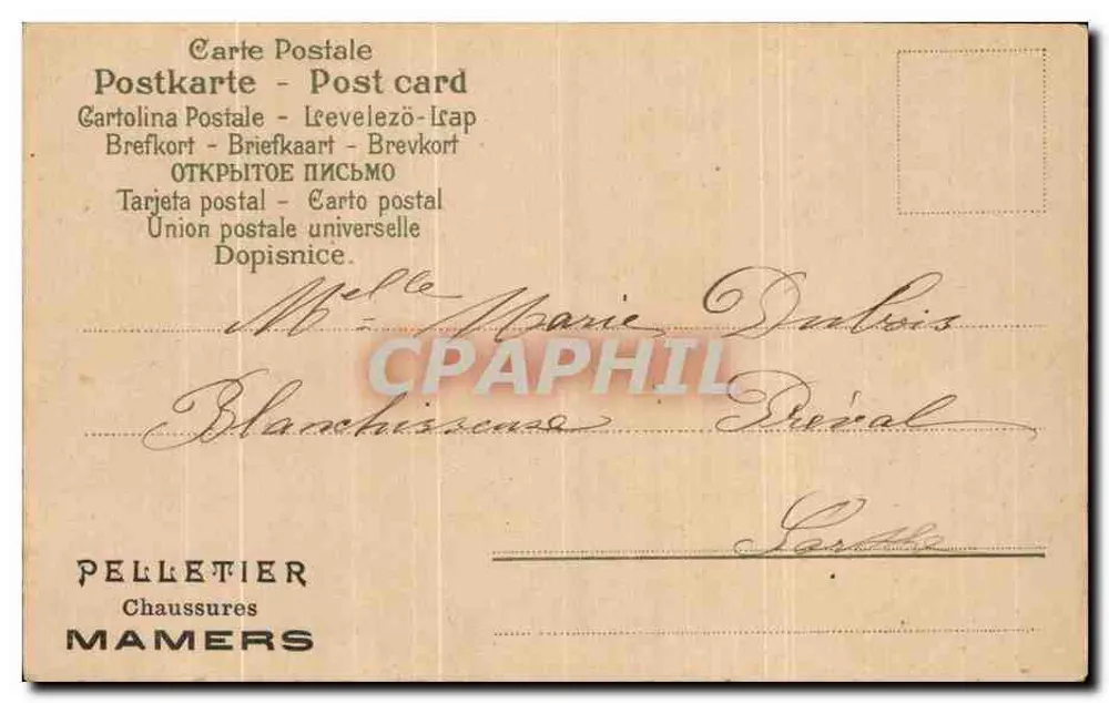 Arranjo de violetas e myosotis — editor Pelletier, Mamers, número de série Z.2442 - Verso