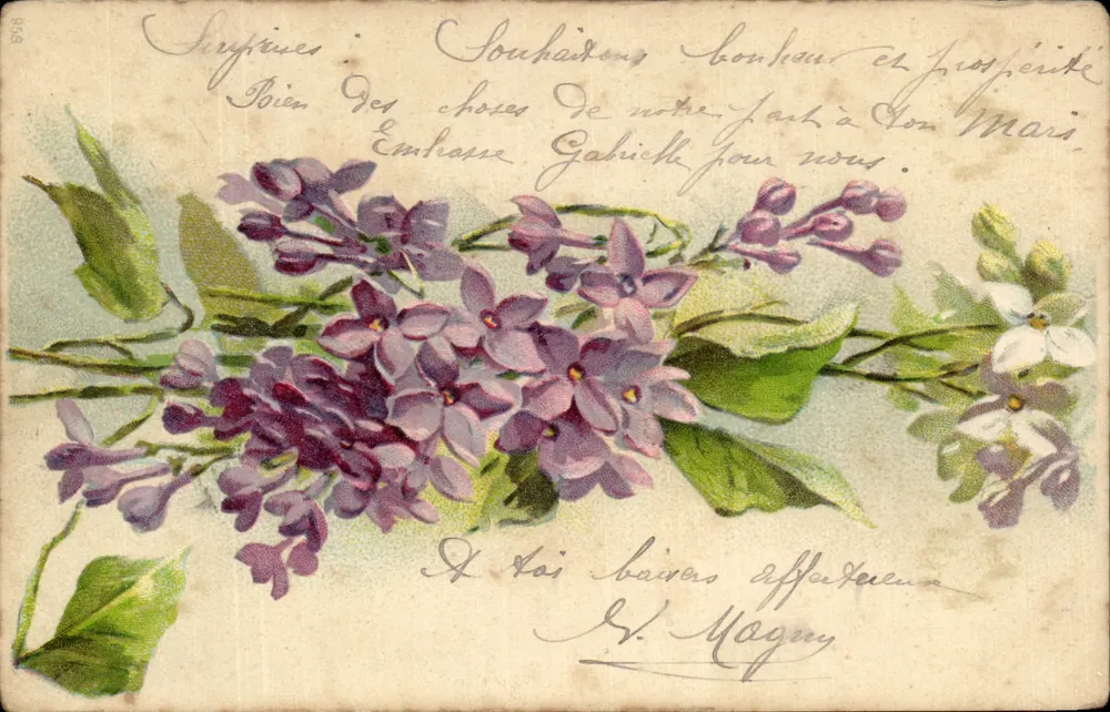 Lilas — Cartão postal com texto impresso e escrita à mão — Editor não identificado, n° 898 - Frente