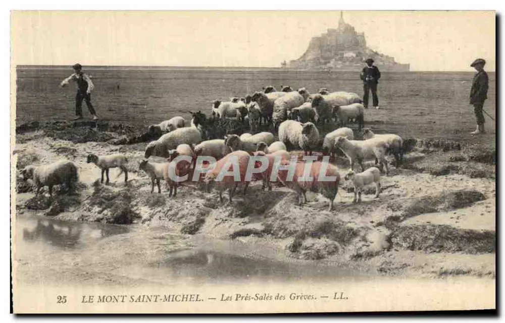 Der Mont Saint-Michel — Die Prés-Salés der Grèves — LL. — n°25 - Vorderseite