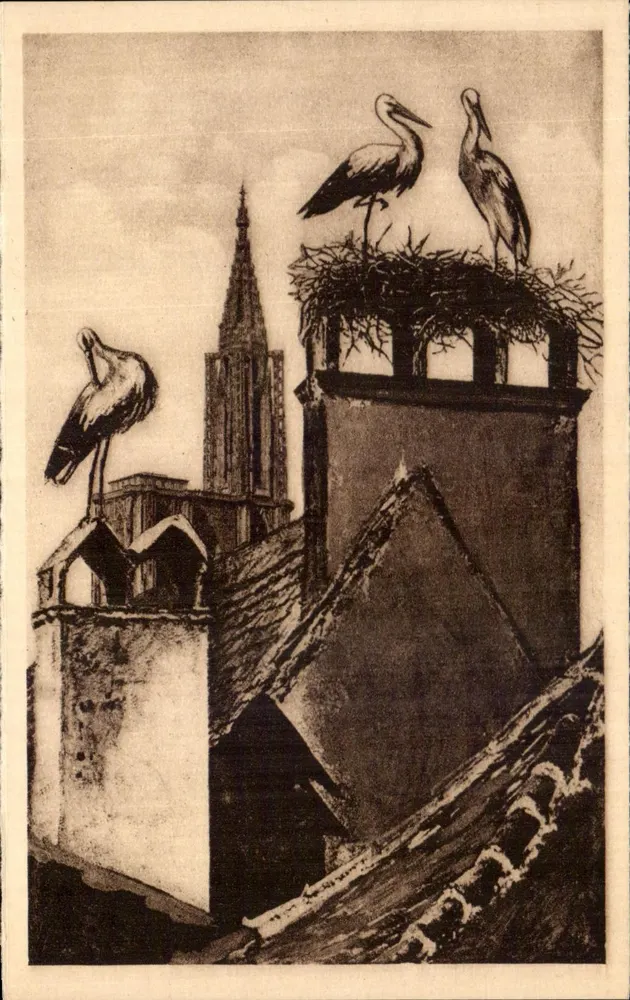 Strasbourg — Ninho de corujas — Feliz Lubb, editor Strasbourg, n°5 - Frente
