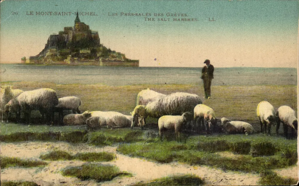 Mont Saint-Michel — Die salzigen Wiesen der Grèves — LL - Vorderseite