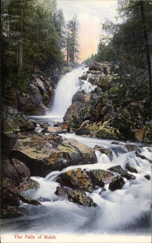 The Falls of Muick — cascata in una foresta — G.W.W. n° 52610 - Recto