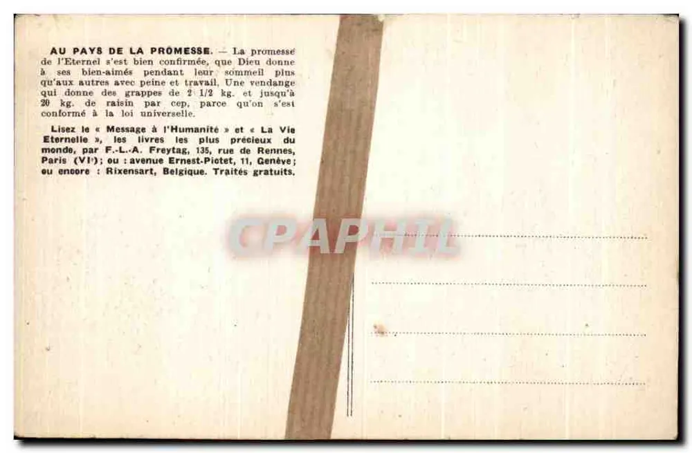Una vendimia en el país de Canaan — 31. Editor no visible - Reverso