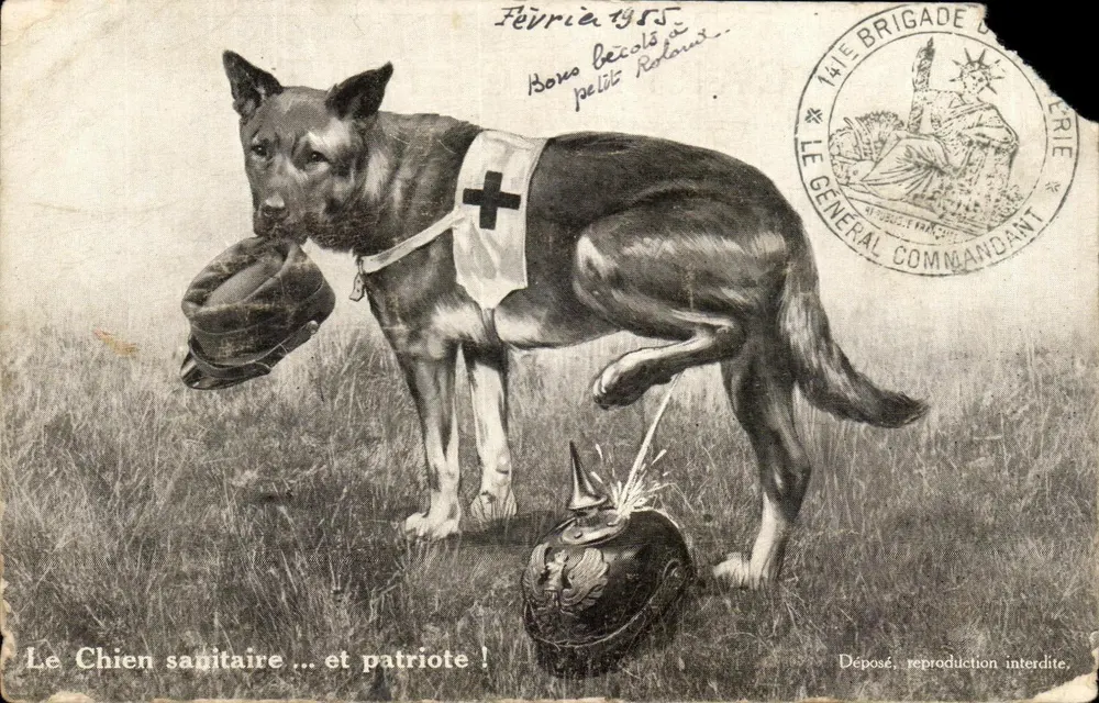 Chien sanitaire — avec croix rouge et casque — éditeur Edition Lorraine - Vorderseite