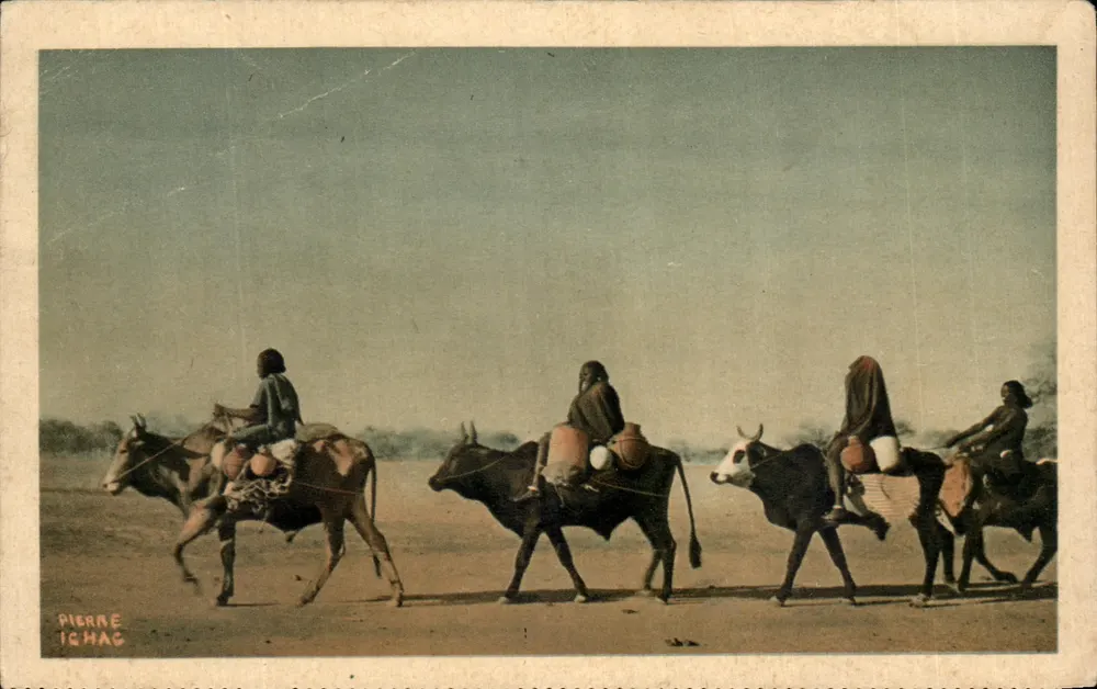 Oxen Träger des Tschad — Französisch-Äquatorialafrika — Pierre Ichag - Vorderseite