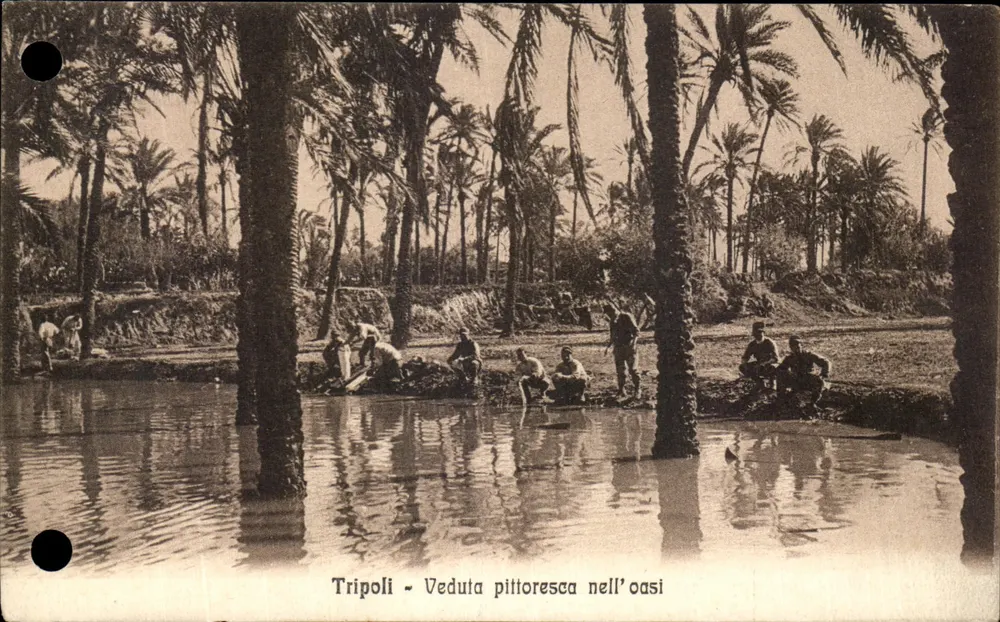 Tripoli — Vista pitoresca en la oasi — Fototipia Alterocca - Terni - Anverso