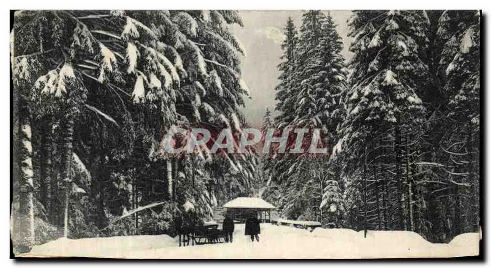 Forêt enneigée — sentier avec cabane et chariot — éditeur non visible - Frente