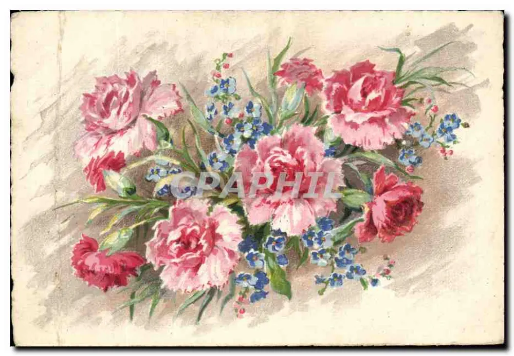 Bouquet de pivoines et de fleurs bleues — illustration — éditeur M. Barré & J. Dayez, n° 508 - Frente