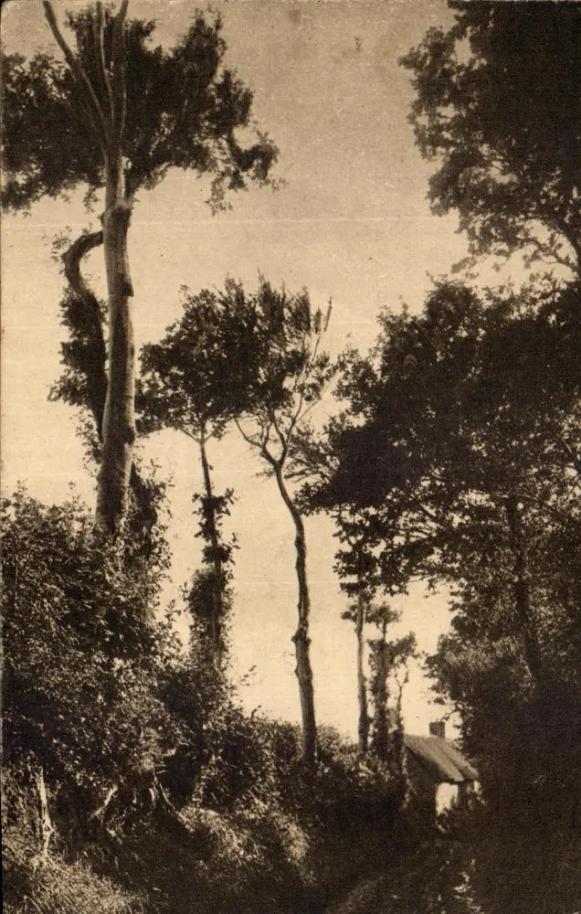 Schmaler Weg — Pittoreske Normandie — Éditions Pierre Eglière - Vorderseite