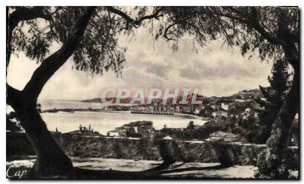 Menton — Vista generale attraverso gli Olivi — Cn. des Arts Photomécaniques, Parigi - Recto
